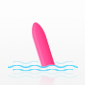 Waterproof Vibrators
