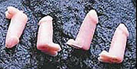 Penis Pencil Tops - Beige