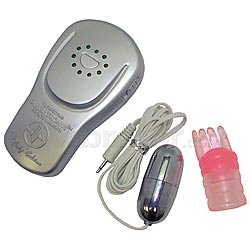 Egg & Controller with Pulsatron II