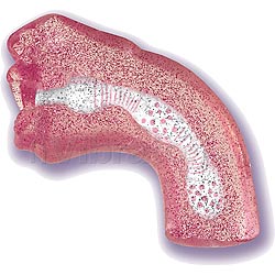 Deep Throat Stroker Masturbator