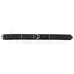 1.5" Leather Collar with D-Ring