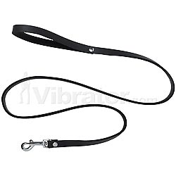 Leather Leash