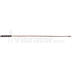 Bamboo Cane w/ Leather Handle