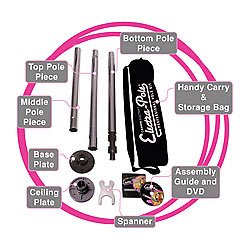 Carmen Electra Stripper Pole