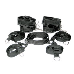 Under The Bed Restraint System