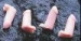 Penis Pencil Tops - Beige