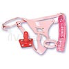 Janine's ultra harness