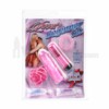 Lover's Beginner Set