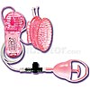 Butterfly Clitoral Pump
