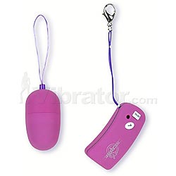 Remote Egg with Wireless Controller