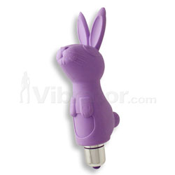 Ramsey Rabbit