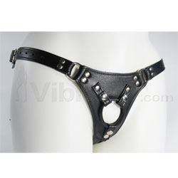 Aslan Jaguar Harness